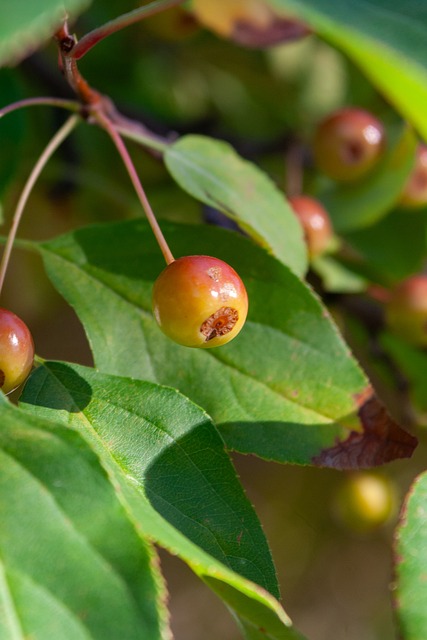多面挑战 多面挑战