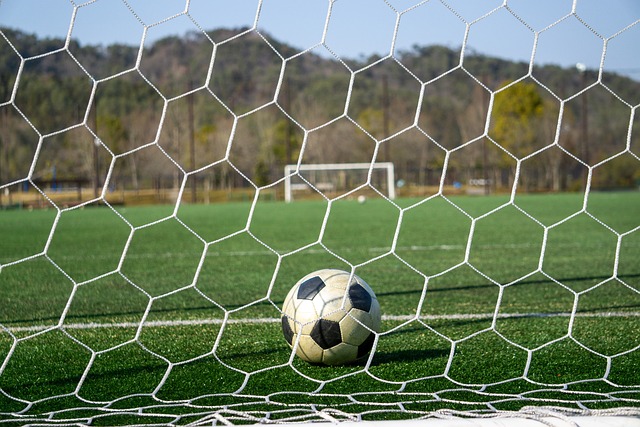 CBA：斩获十连胜 上海男篮108-96北京控股.