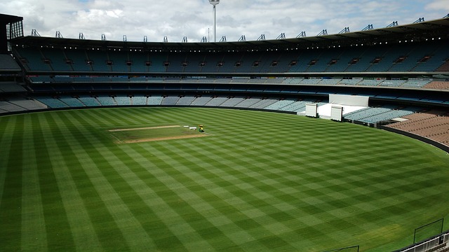 重要因素 重要因素