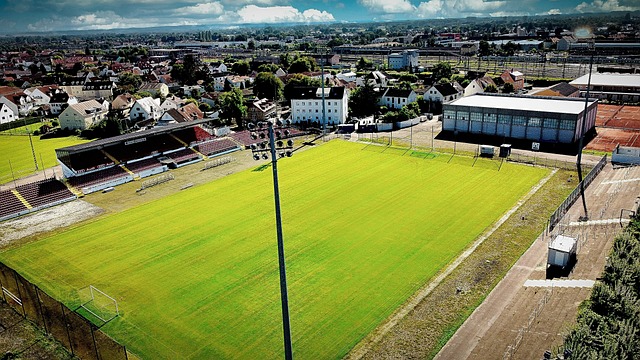 回顧上賽季 回顧上賽季