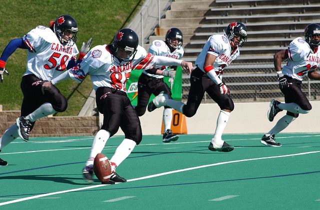 适应了全球 适应了全球