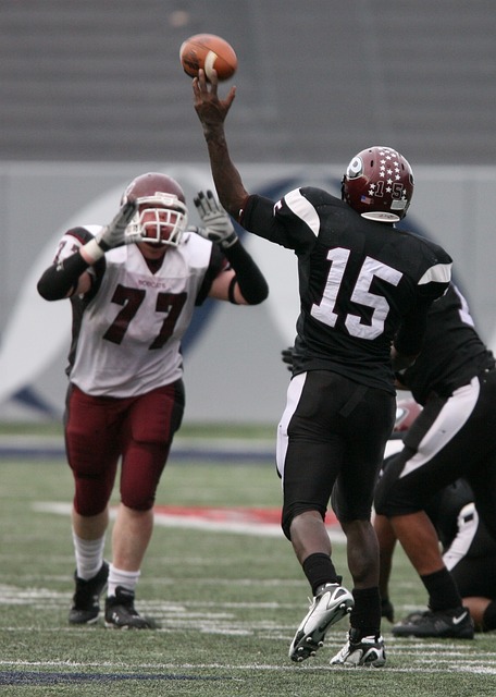 杨伊农和陈 杨伊农和陈