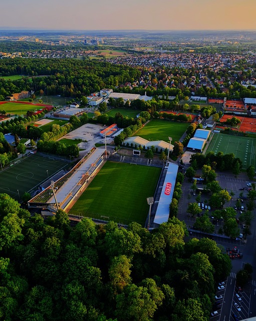 留下一页辉 留下一页辉