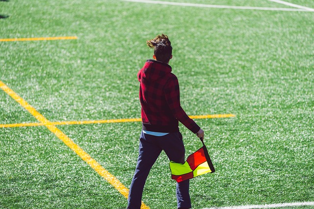 提供了更广 提供了更广