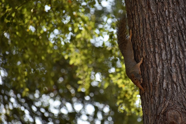 这些变化无 这些变化无