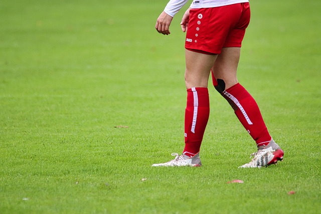 也是在见证 也是在见证