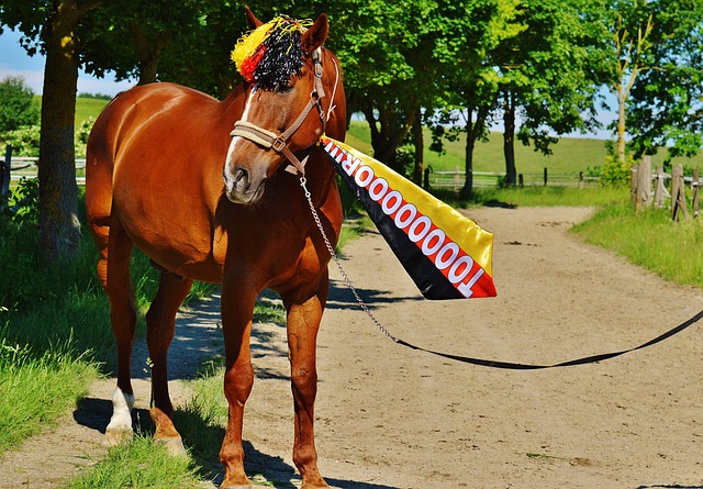 如新年款服 如新年款服