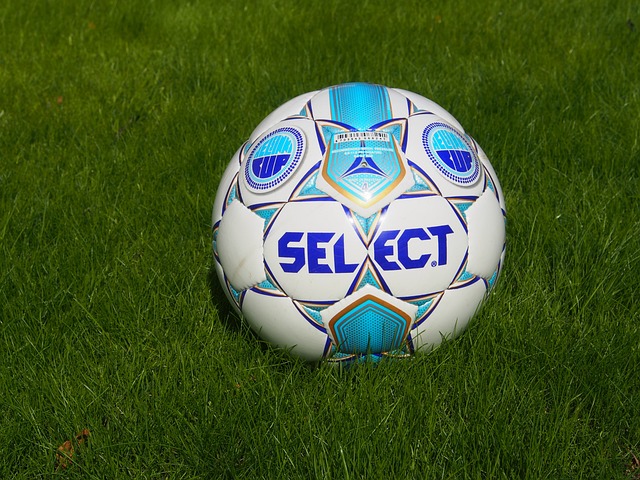 纳入世界文 纳入世界文